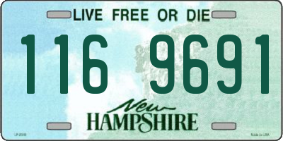 NH license plate 1169691