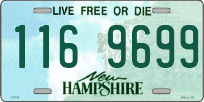 NH license plate 1169699