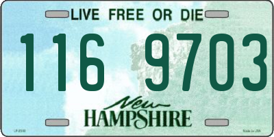 NH license plate 1169703
