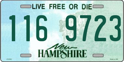 NH license plate 1169723