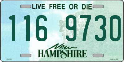 NH license plate 1169730