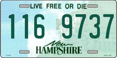 NH license plate 1169737