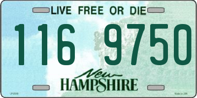 NH license plate 1169750