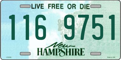 NH license plate 1169751