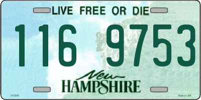NH license plate 1169753