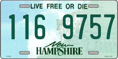 NH license plate 1169757