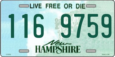 NH license plate 1169759