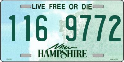 NH license plate 1169772