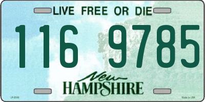 NH license plate 1169785