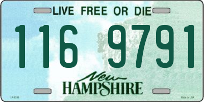 NH license plate 1169791