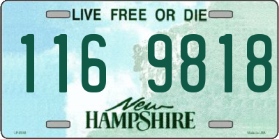 NH license plate 1169818