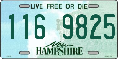NH license plate 1169825