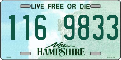 NH license plate 1169833