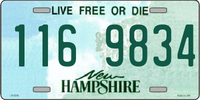 NH license plate 1169834