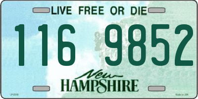 NH license plate 1169852