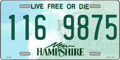 NH license plate 1169875