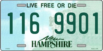 NH license plate 1169901