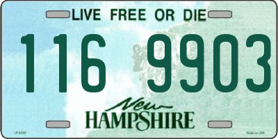NH license plate 1169903