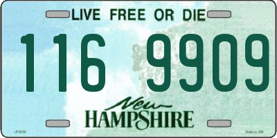 NH license plate 1169909