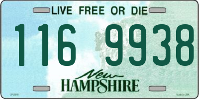 NH license plate 1169938