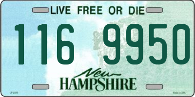 NH license plate 1169950