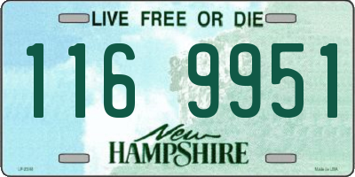 NH license plate 1169951