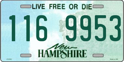 NH license plate 1169953