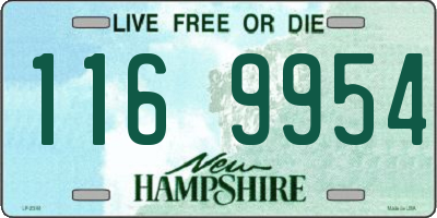 NH license plate 1169954