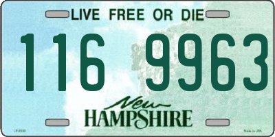 NH license plate 1169963