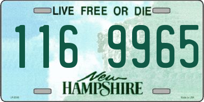 NH license plate 1169965