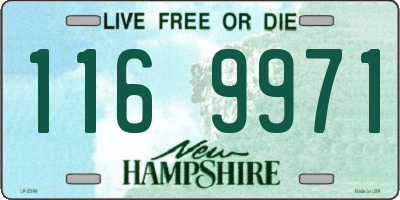 NH license plate 1169971