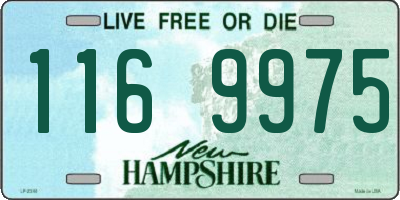 NH license plate 1169975