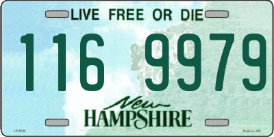 NH license plate 1169979