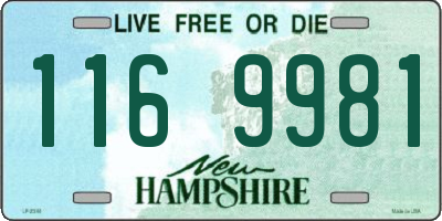 NH license plate 1169981