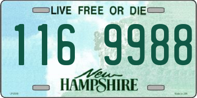 NH license plate 1169988