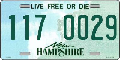 NH license plate 1170029