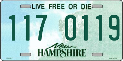 NH license plate 1170119