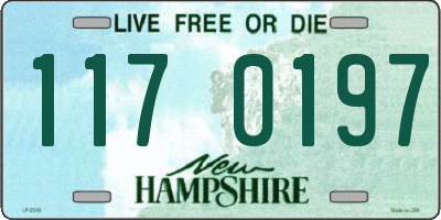 NH license plate 1170197
