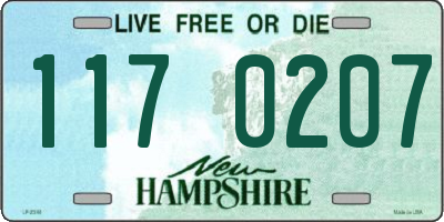 NH license plate 1170207