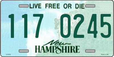 NH license plate 1170245
