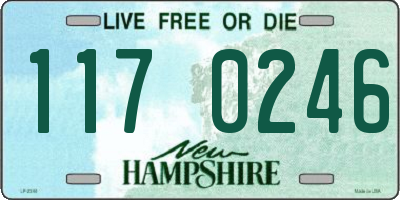 NH license plate 1170246
