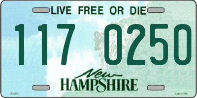 NH license plate 1170250