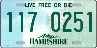 NH license plate 1170251