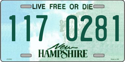 NH license plate 1170281