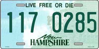 NH license plate 1170285