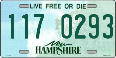 NH license plate 1170293