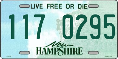 NH license plate 1170295