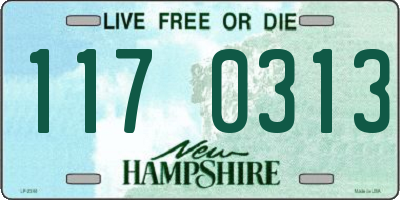 NH license plate 1170313
