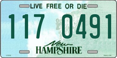 NH license plate 1170491