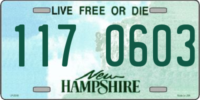 NH license plate 1170603